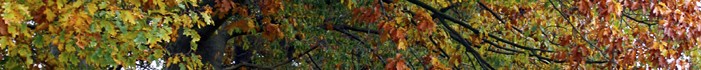MP900433029